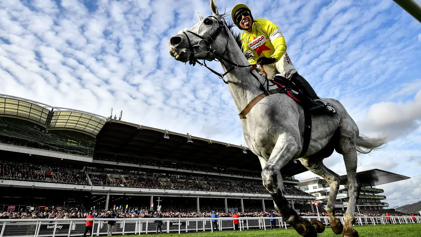 Ground-level photo looking up at a jockey on a horse at Cheltenham Racecourse.