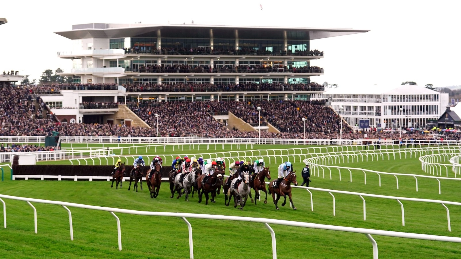 Horses racing in front of a packed Cheltenham Racecourse main grandstand.
