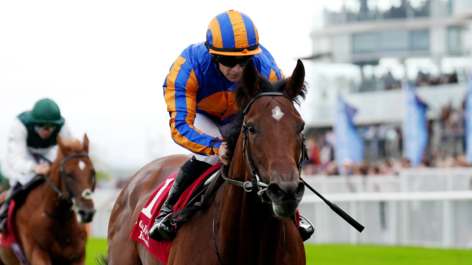 Constitution River rightfully heads the betting for the Coral Eclipse.